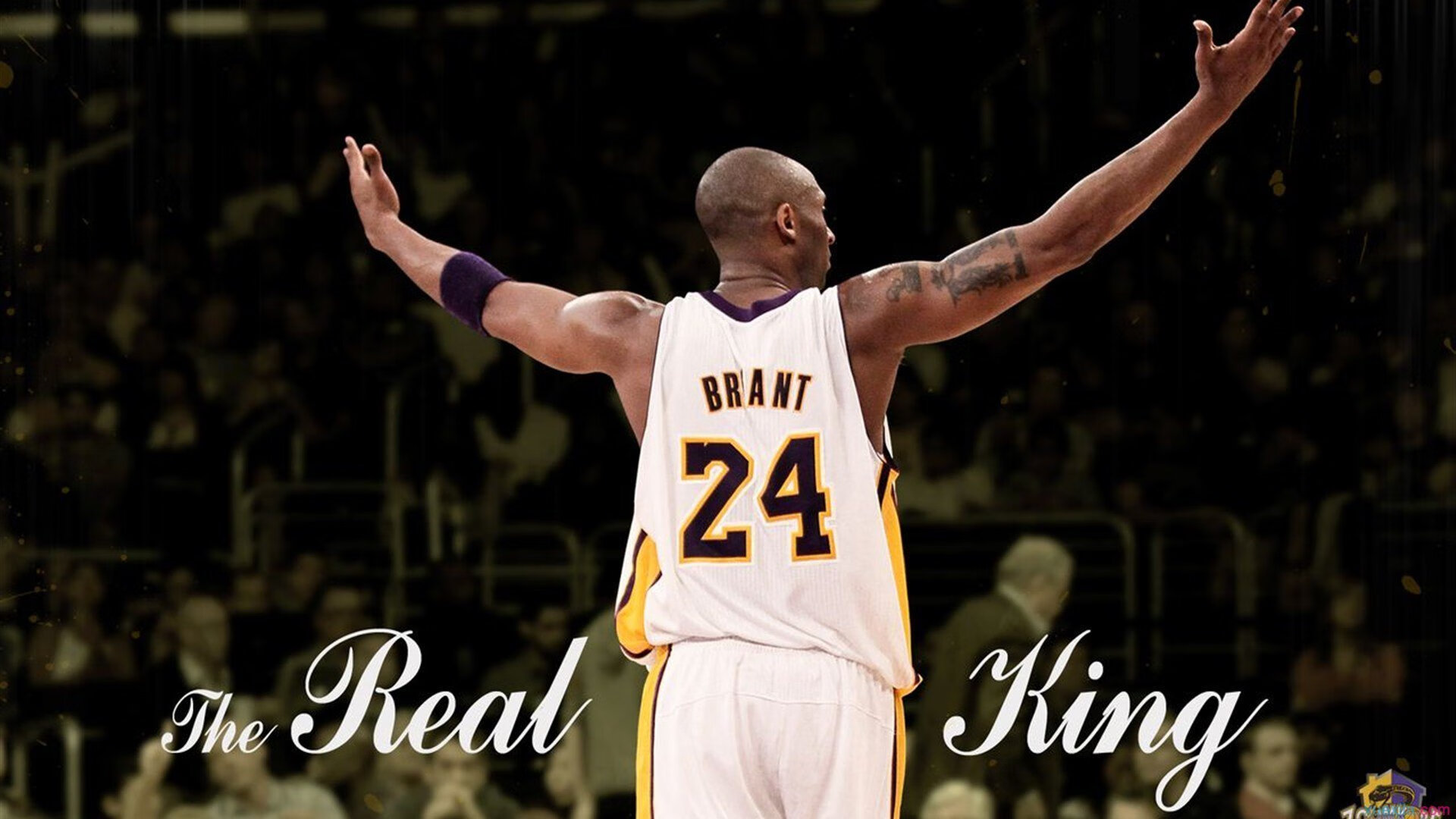 克莱尔·柯尔赞展现坚定比赛心态，克莱尔jmb